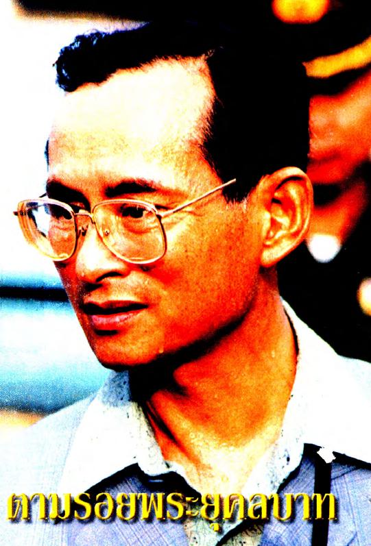 ภาพตัวอย่าง