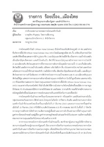 ภาพตัวอย่าง