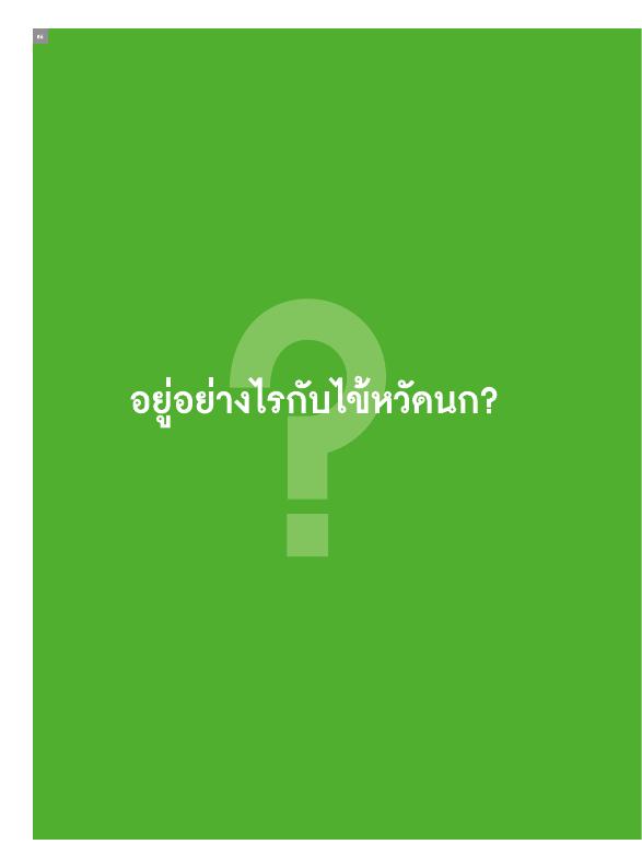 ภาพตัวอย่าง