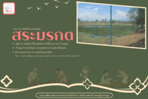 ภาพตัวอย่าง