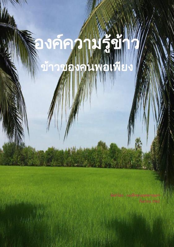 ภาพตัวอย่าง