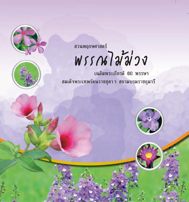 ภาพตัวอย่าง