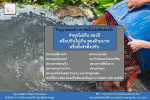 ภาพตัวอย่าง
