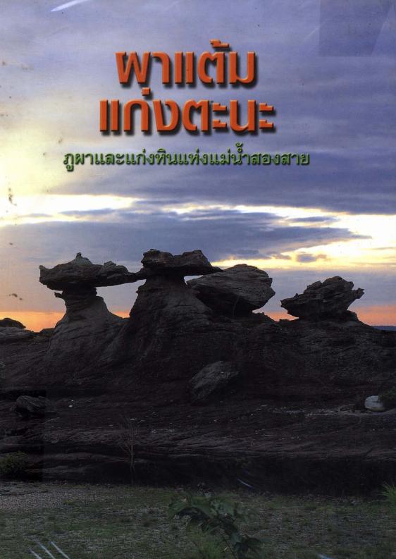 ภาพตัวอย่าง