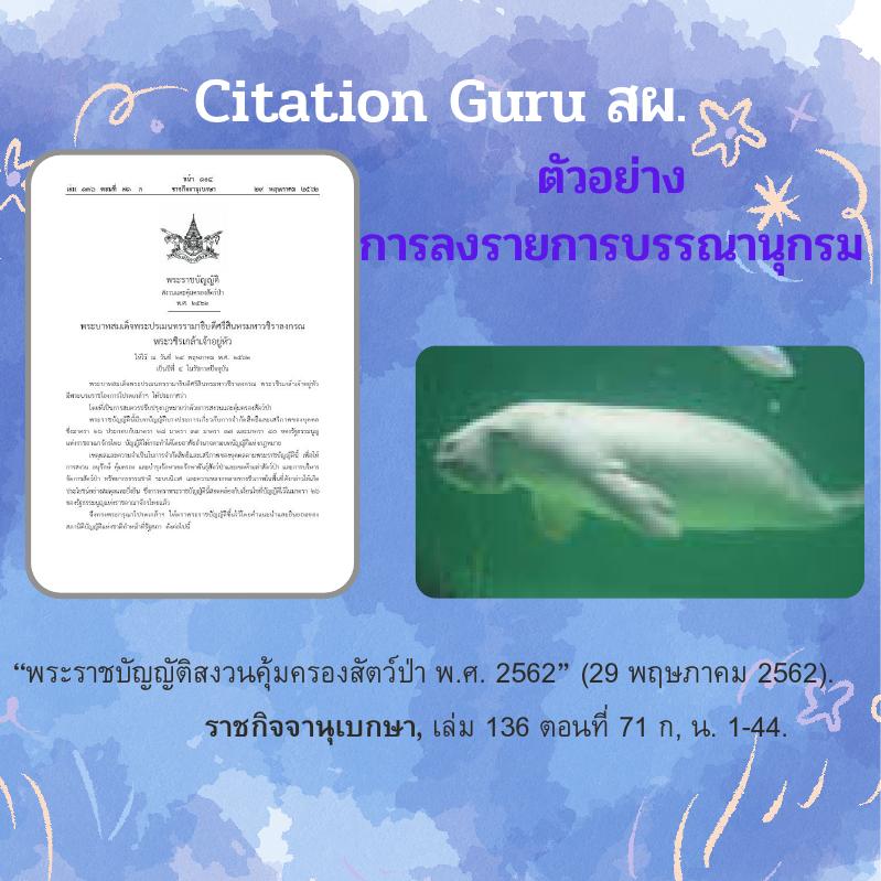 ภาพตัวอย่าง