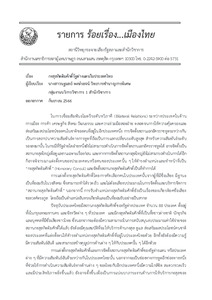 ภาพตัวอย่าง