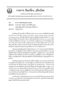 ภาพตัวอย่าง